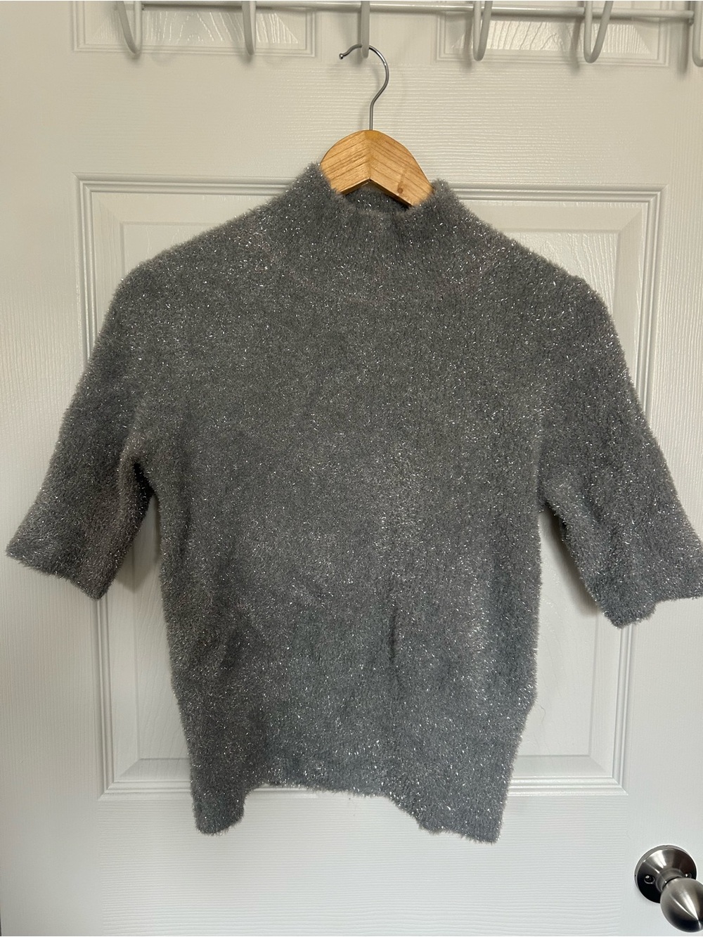 Bailey 44 Silver-Gray Fuzzy Knit Top